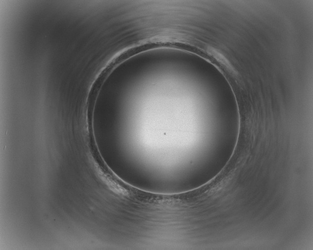 X0000070820934200606191218