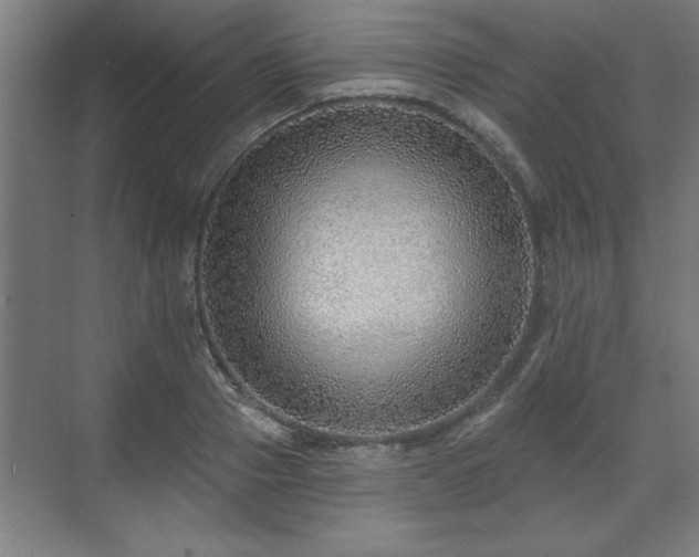 X0000070820937200606191218