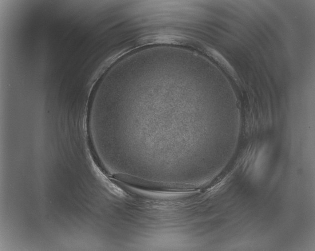 X0000070820938200606191218