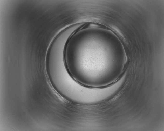 X0000070820940200606191219