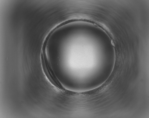 X0000070820943200606191219