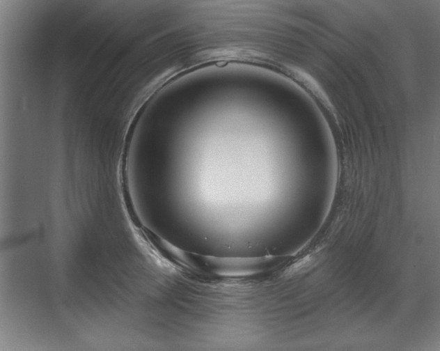 X0000070820946200606191219