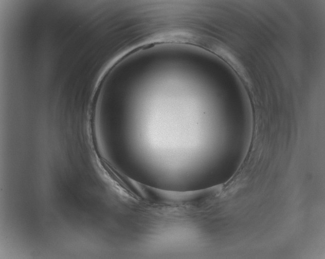 X0000070820960200606191219