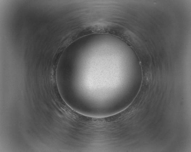 X0000070820964200606191218