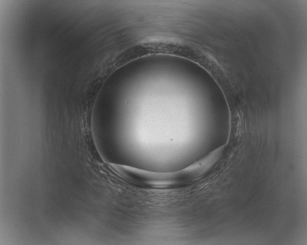 X0000070820965200606191218