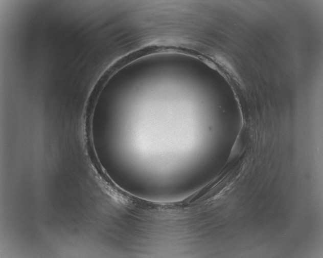 X0000070820976200606191218