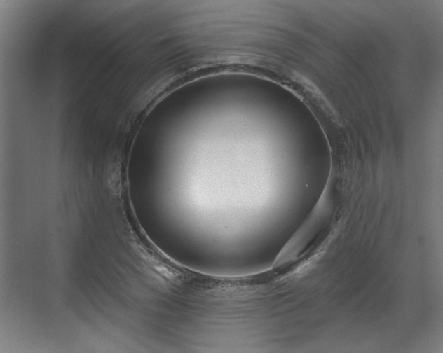 X0000070820977200606191218