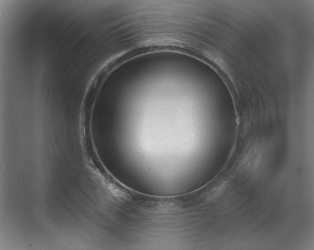 X0000070820979200606191218
