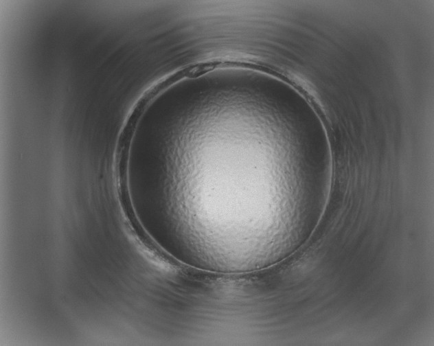 X0000070820987200606191218