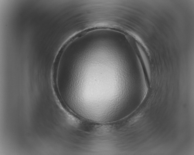 X0000070820991200606191218