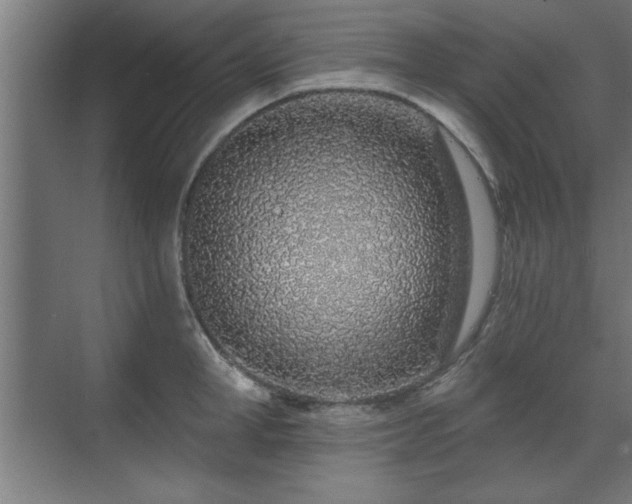 X0000070820998200606191217