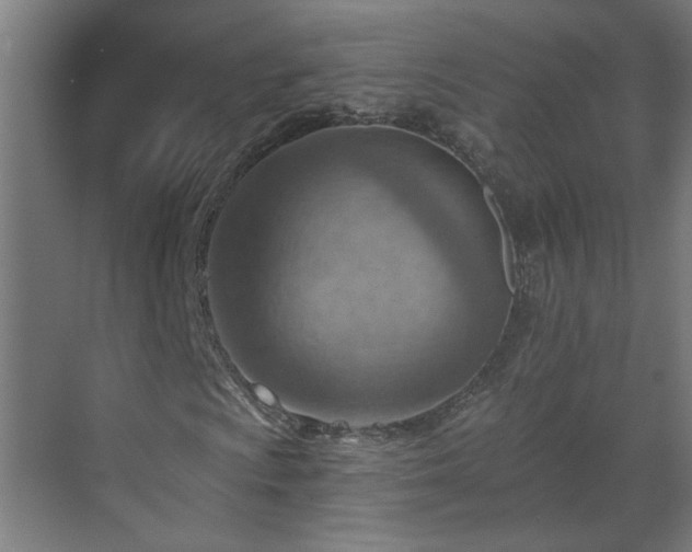 X0000070821009200606191216