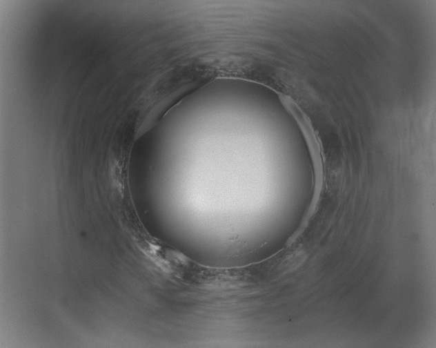 X0000070821010200606191216