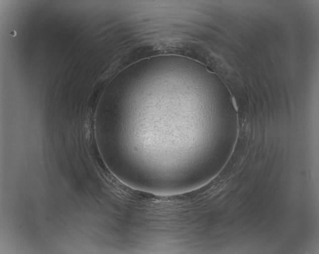 X0000070821012200606191217