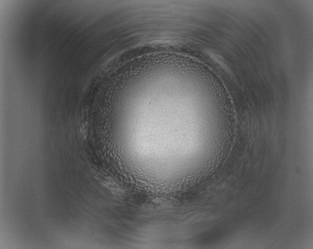 X0000070821015200606191217