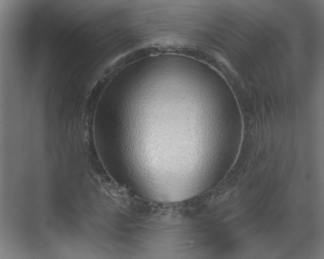 X0000070821016200606191217