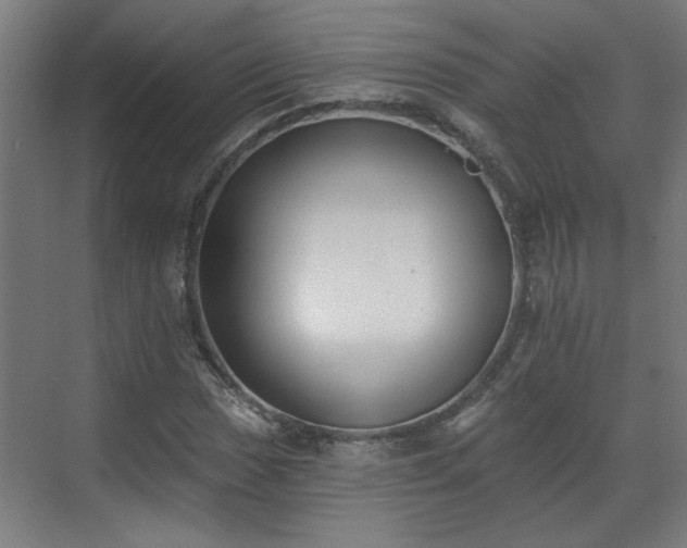 X0000070821017200606191217