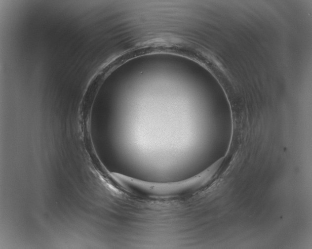 X0000070821018200606191217