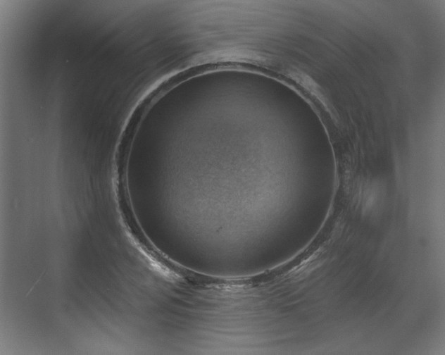 X0000070821024200606191217