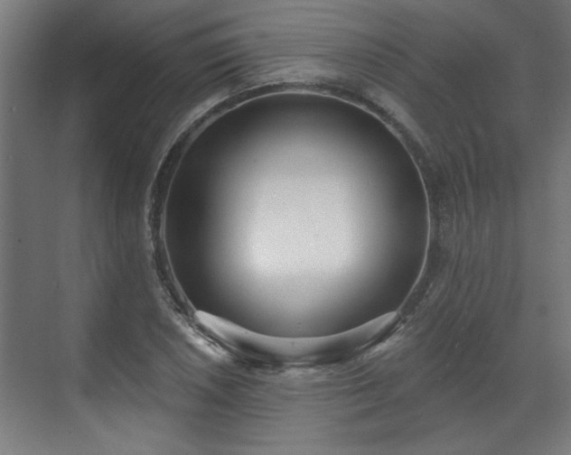 X0000070821026200606191217
