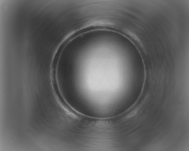 X0000070821029200606191217
