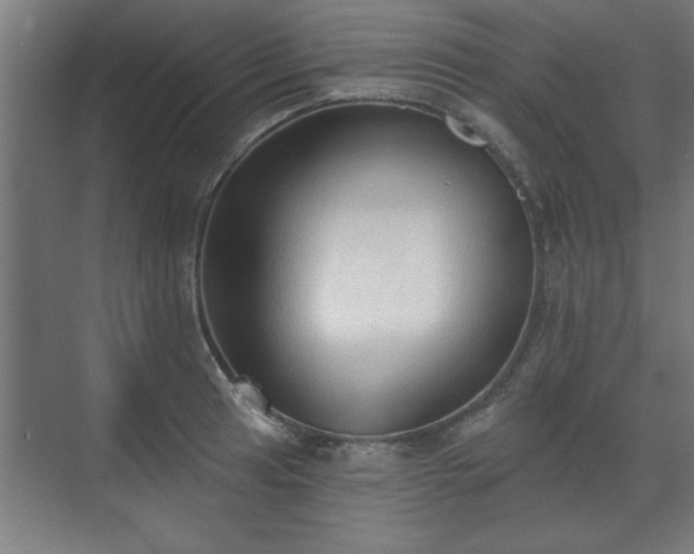 X0000070821041200606191217