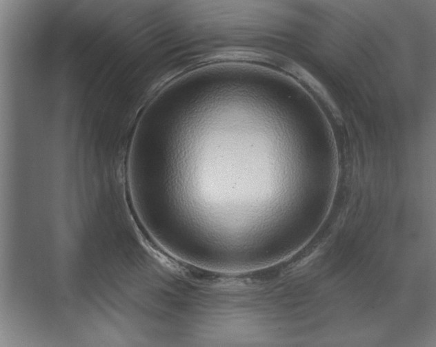 X0000070821049200606191217