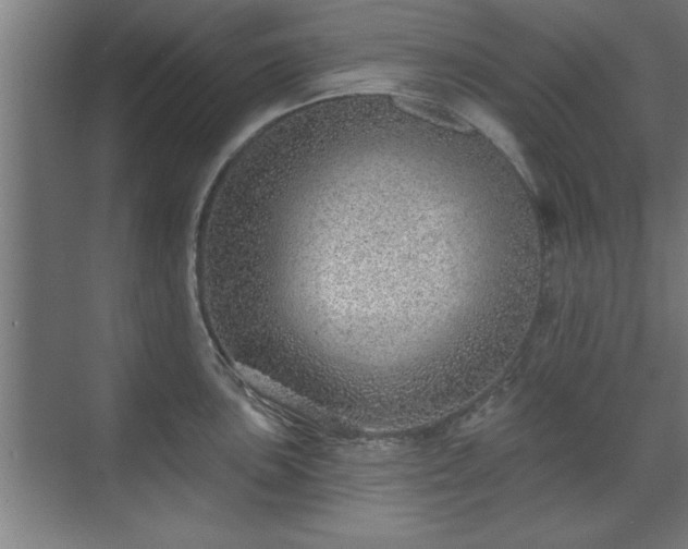 X0000070821051200606191217