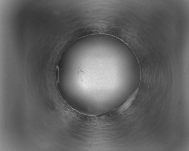 X0000070821057200606191216