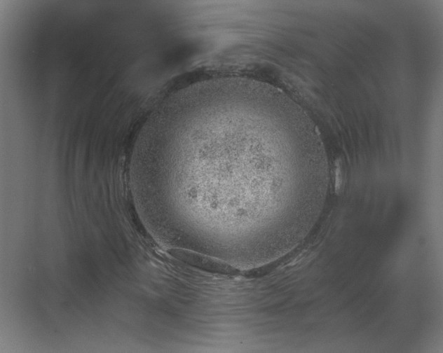 X0000070821059200606191216