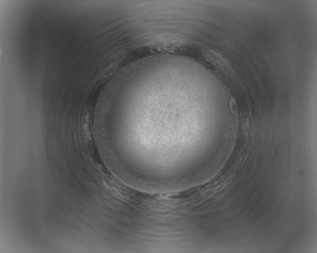 X0000070821060200606191216