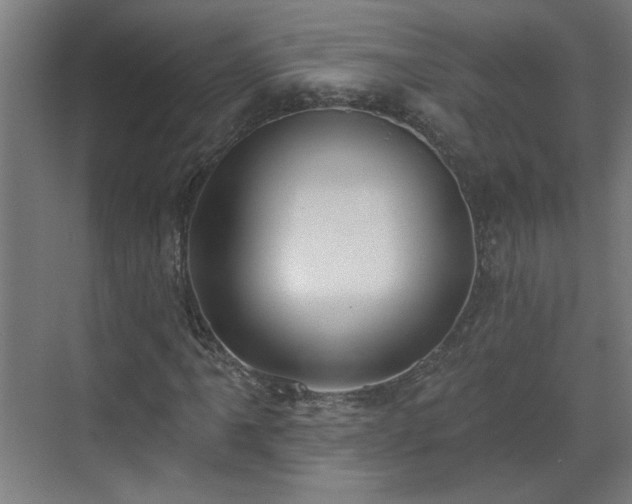 X0000070821061200606191216