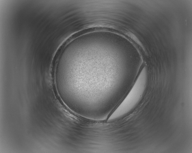 X0000070821068200606191216