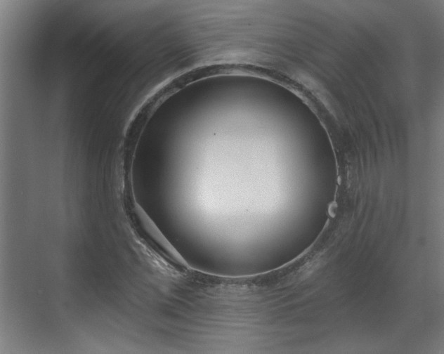 X0000070821069200606191216