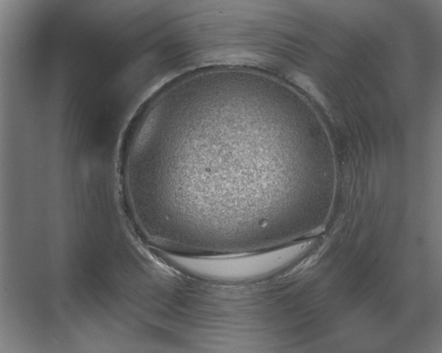 X0000070821071200606191216