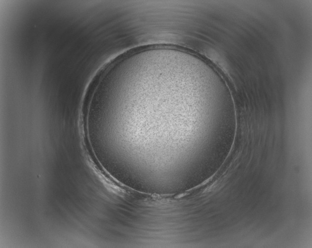 X0000070821072200606191216