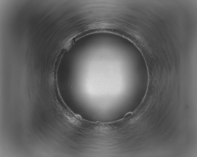 X0000070821073200606191216