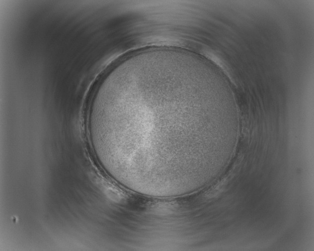 X0000070821074200606191216