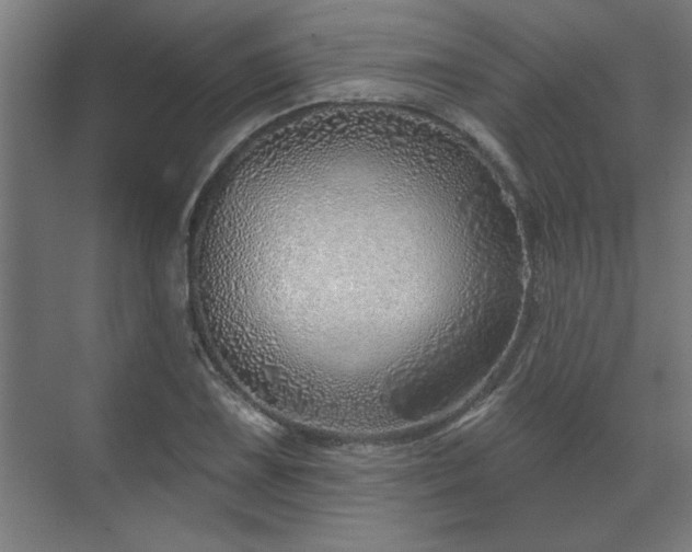 X0000070821075200606191216