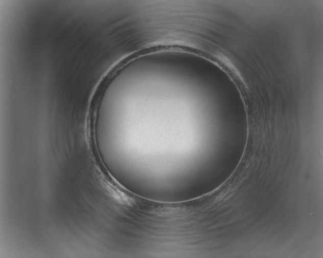 X0000070821076200606191216