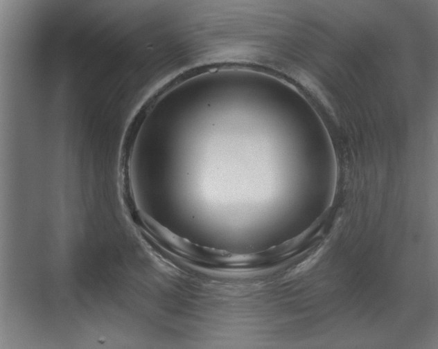 X0000070821077200606191216