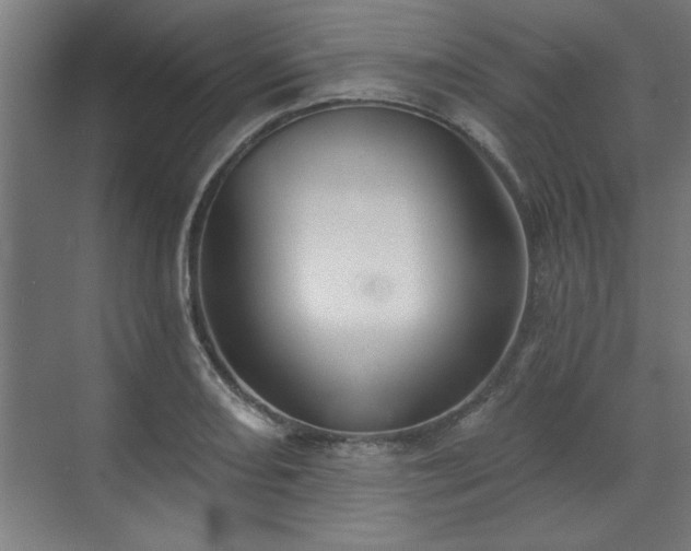 X0000070821082200606191216