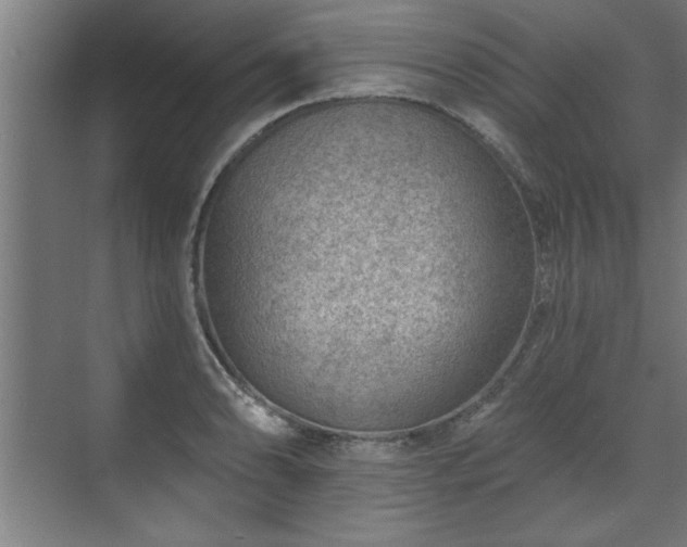 X0000070821086200606191216