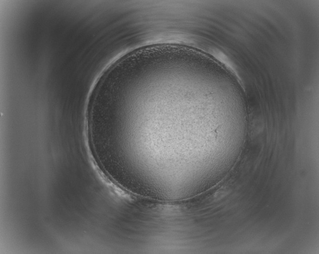 X0000070821088200606191216