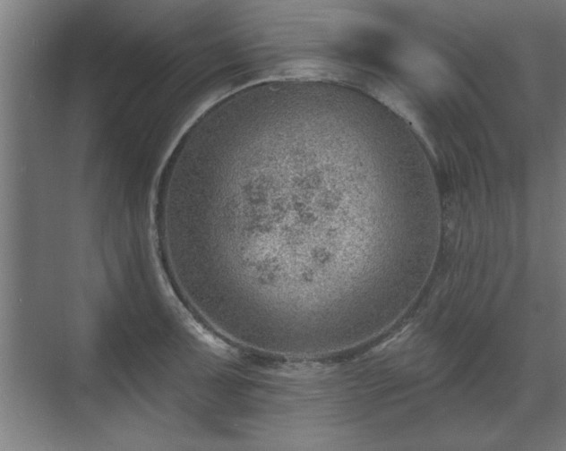 X0000070821091200606191216