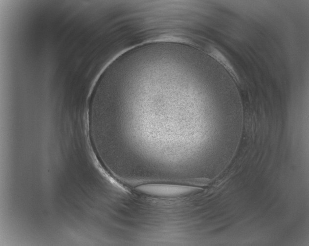 X0000070821092200606191216