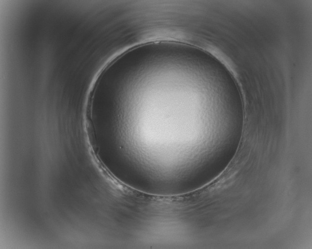 X0000070821104200606191216