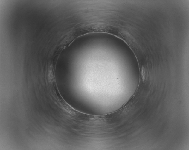 X0000070821107200606191215