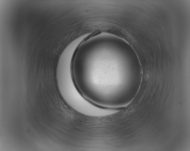 X0000070821108200606191215