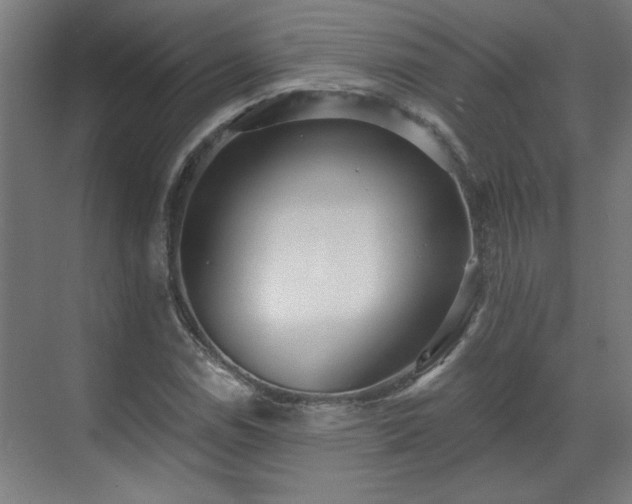 X0000070821114200606191215